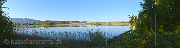 P019651: Grosses Foto Spiegelung im Moossee