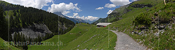 P019947: Panoramafotos Alpstrasse und Alphütte in grüner Berglandschaft