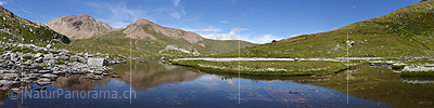 P020243b: Panoramafoto Ruhig fliessender Bergbach und Wollgras in Naturlandschaft