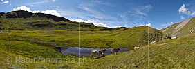 P020406: Panoramafoto Kühe an kleinem Bergsee