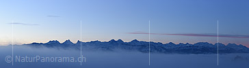 P020767: Panoramafoto Morgendlicher Blick über Nebelmeer zu den Berner Alpen