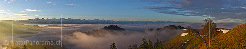 P020776: Panorama Morgenstimmung mit Nebelmeer