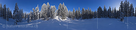 New in NaturPanorama.ch: 360° Gigapixel Panorama First rays of sunshine in the freshly snow-covered winter forest