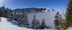 New in NaturPanorama.ch: Panorama photo winter landscape with sea of fog