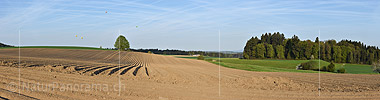 P021139: Panoramafoto Linde in Acker