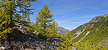 P022463: Panoramafoto Bergwald