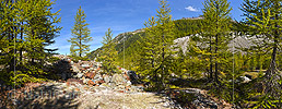 P022465: Panoramafoto Bergwald