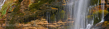 P022543a: Panoramafoto Wasser und Moos
