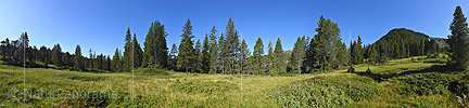 P023484: Grosspanorama Grüne Berglandschaft im Wald