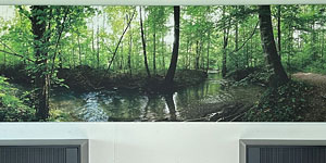 NaturPanorama.ch: Panoramafoto auf Akustikabsorber in Büro
