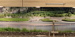 NaturPanorama.ch: Panorama-Küchenrückwand aus Glas
