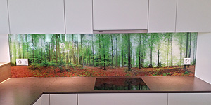 NaturPanorama.ch: Panoramafoto-Küchenrückwand aus Glas