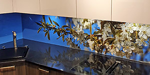 NaturPanorama.ch: Panoramafoto mit Kirschblüten auf Küchenrückwand aus Glas