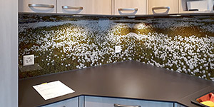 Küchenrückwand aus Glas mit einem Panoramafoto mit blühendem Wollgras als Motiv.
