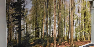 NaturPanorama.ch: Wandbild in Büro